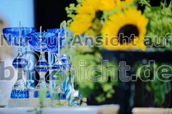 Bayerische Landesmeisterschaft Hauptgruppe C/D Standard TSZ Freising am 26.06.2011
