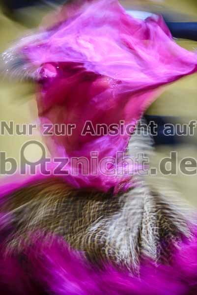 Bayerische Landesmeisterschaften Latein und Standard im RGC Nürnberg am 10. und 11.02.2018
